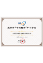 专精特新中小企业